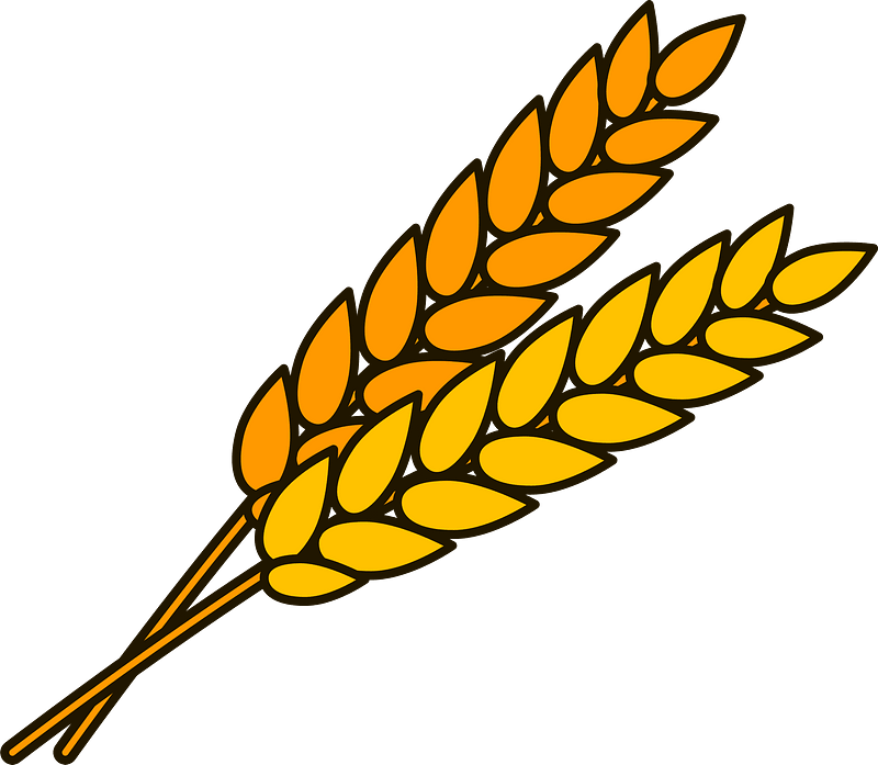 wheat-clipart-md